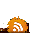 Paralelo 10 Rss