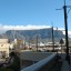 IMG_8390 IMG_8390