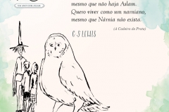 Frase_ldcn-10