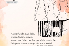 Frase_ldcn_07