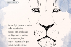 Frase_ldcn_11