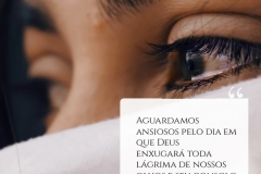 frase_losmcjs_06