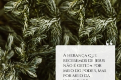 frase_losmcjs_08