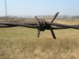 barbed-wire-1533289-638x477