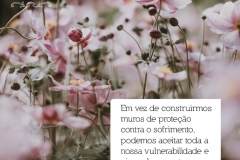 12frase_rd_vanessa