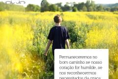 13frase_rd_ricardowesley