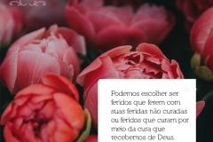 1frase_rd_isabele