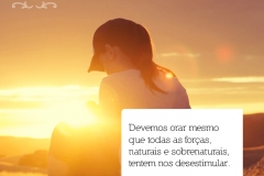 21frase_rd_luiz