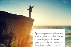 29frase_rd_reve