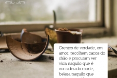 8frase_rd_braulia